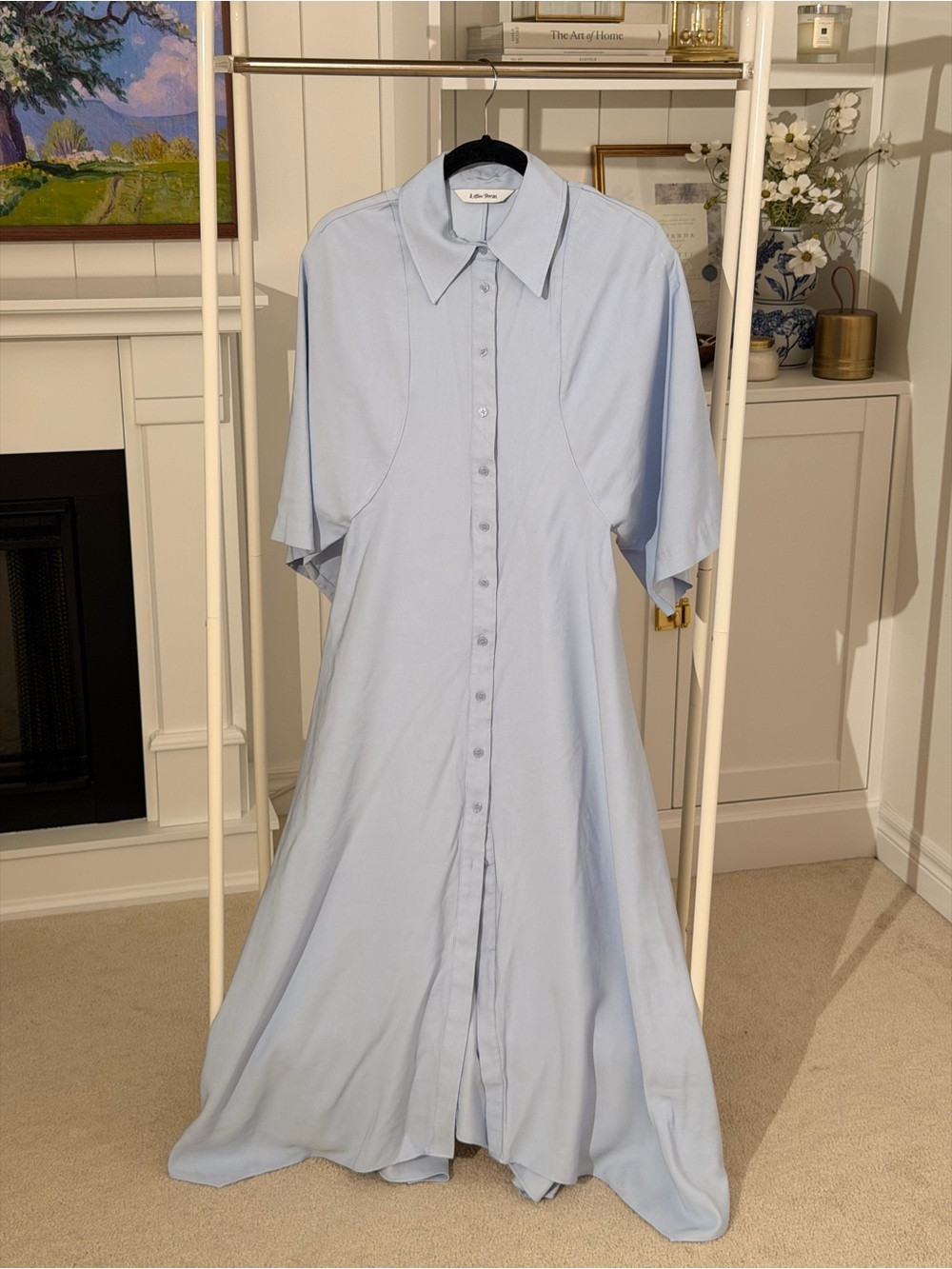 & Other Stories Pale Blue Button-Front Maxi Dress